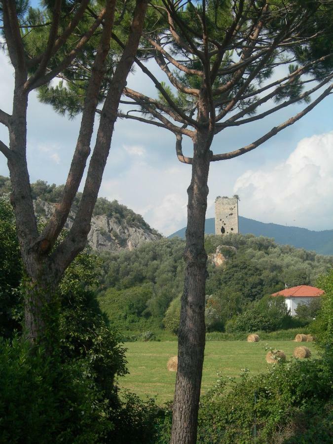 B&B La Rondine Tra Pisa E Lucca San Giuliano Terme Exteriör bild